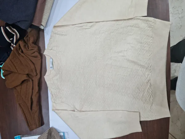Beige_Knit_Regular_Fit_Sweater_for_Men