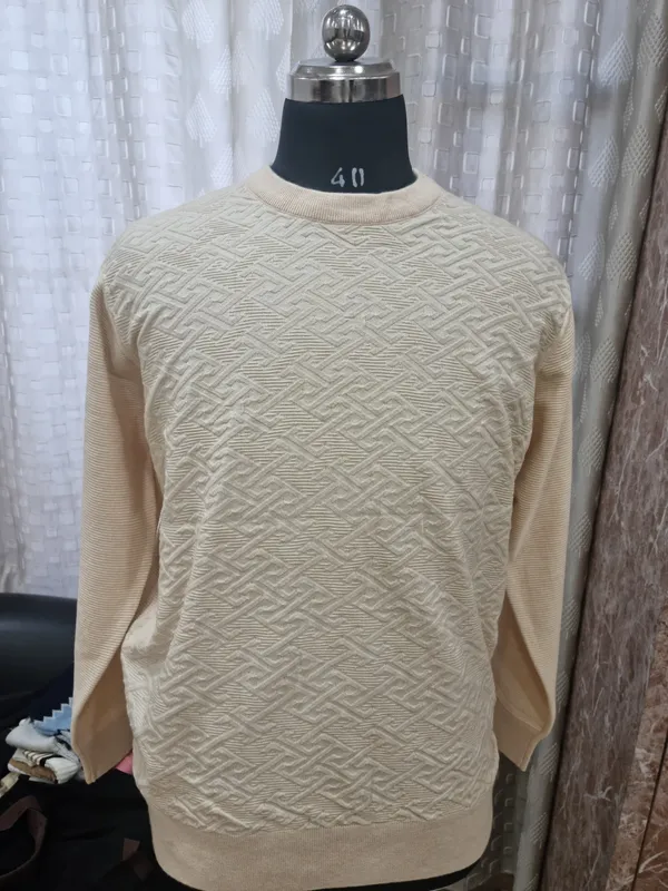 Beige_Knit_Regular_Fit_Sweater_for_Men