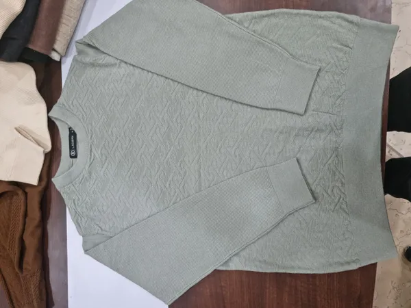 Sage_Green_Knit_Regular_Fit_Sweater_for_Men
