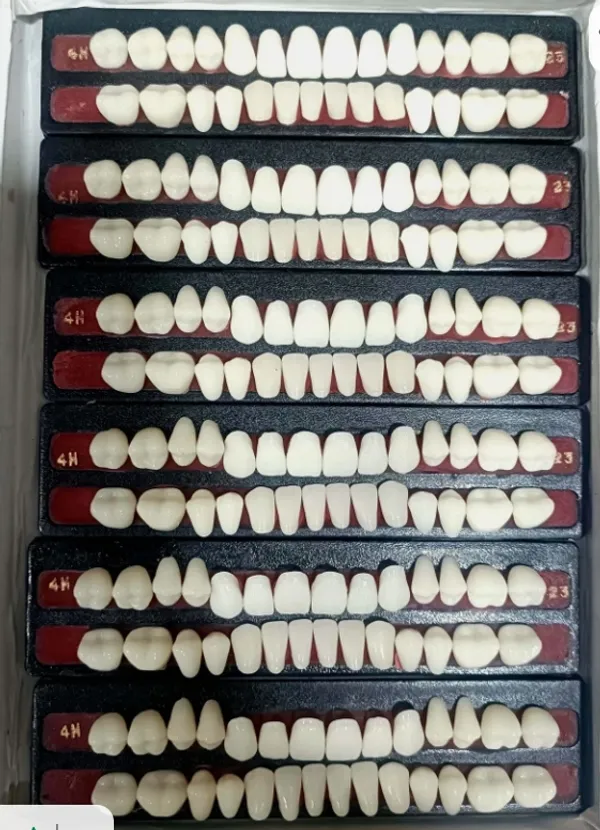 Acrylic_Resin_Artificial_Denture_Teeth_Set