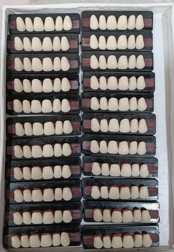 Ivory_Acrylic_Resin_Artificial_Denture_Teeth_Set