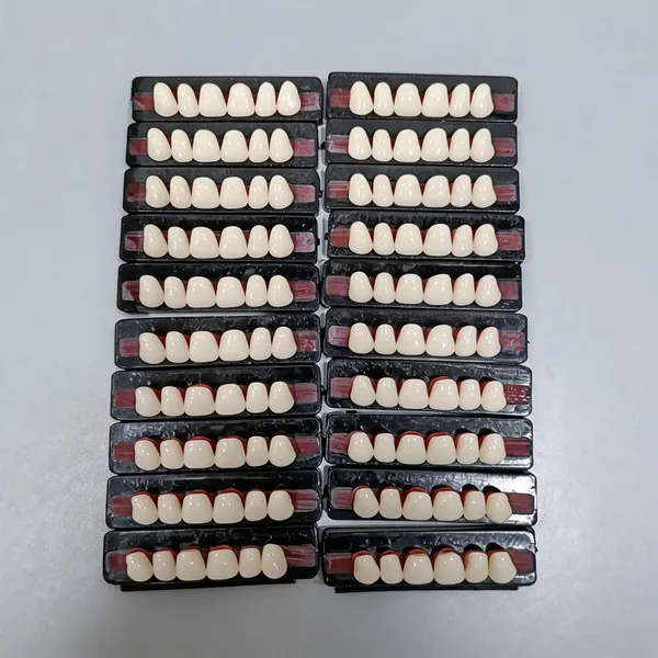 Ivory_Acrylic_Resin_Artificial_Denture_Teeth_Set