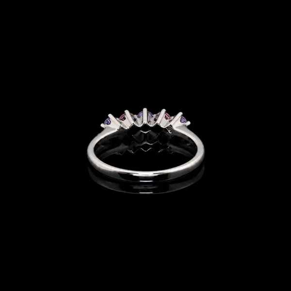 Zelayn-SilverEternity_Band
