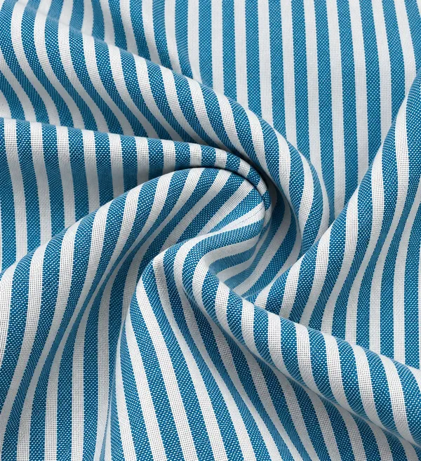 Blue_Woven_Regular_Fit_Striped_Shirt_for_Men