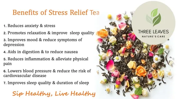 Three_Leaves_Green_Tea_Herbal_Blend