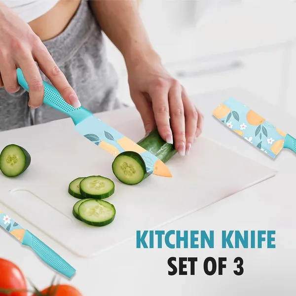 Stainless_Steel_Kitchen_Knife_Set_3_Pieces