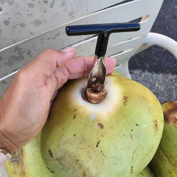 Stainless_Steel_Tender_Coconut_Opener_Tool