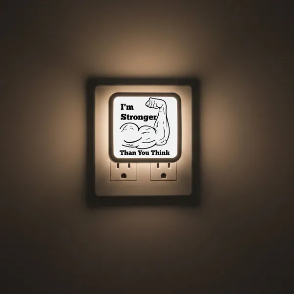 BrittleBerry_Picture_Light_Wall_Lamp_With_Bulb_()