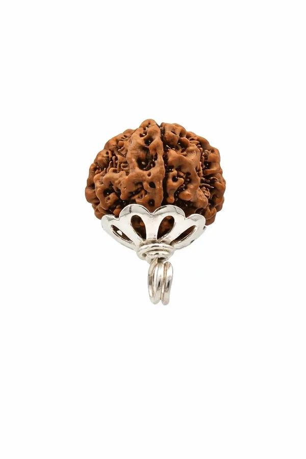 Rudraksha_Pendant_With_Silver_Cap