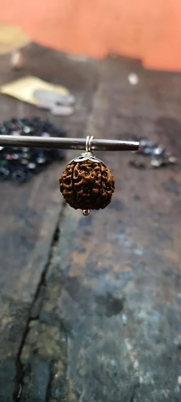 Rudraksha_Pendant_With_Silver_Cap