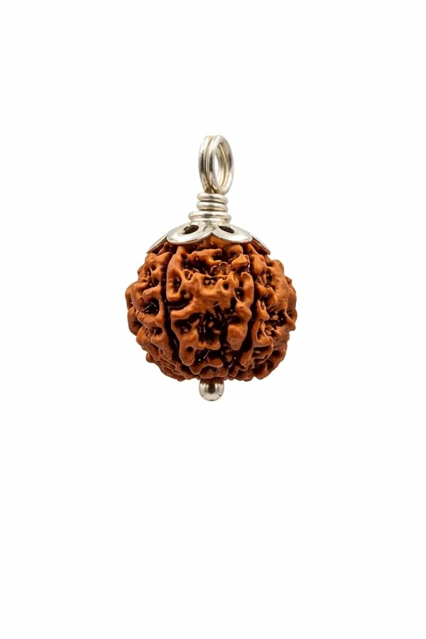 Rudraksha_Pendant_With_Silver_Cap