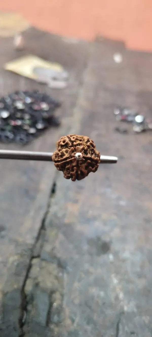 Rudraksha_Pendant_With_Silver_Cap