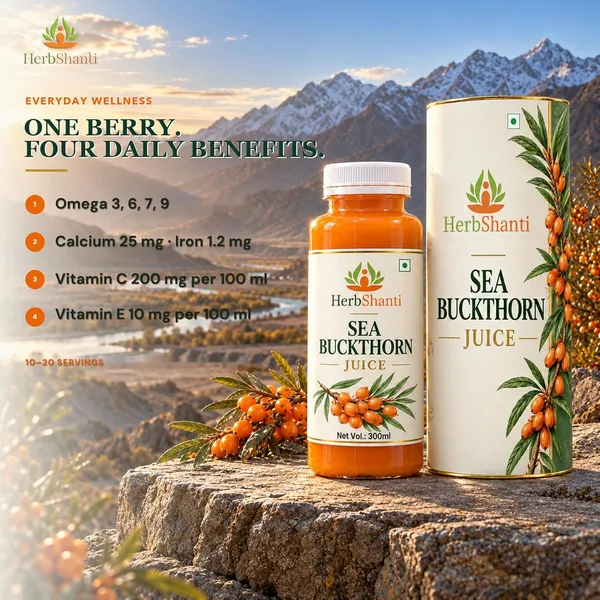 Sea_Buckthorn_Juice_300ml_Seabuckthorn_Juice
