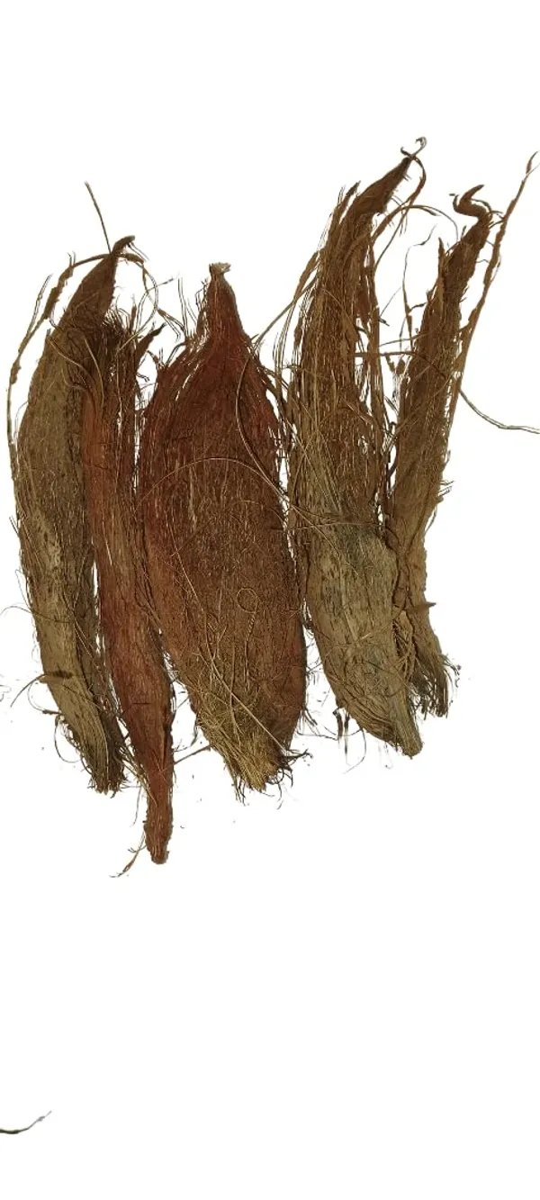 Frankincense_Resin_With_Coconut_Husk