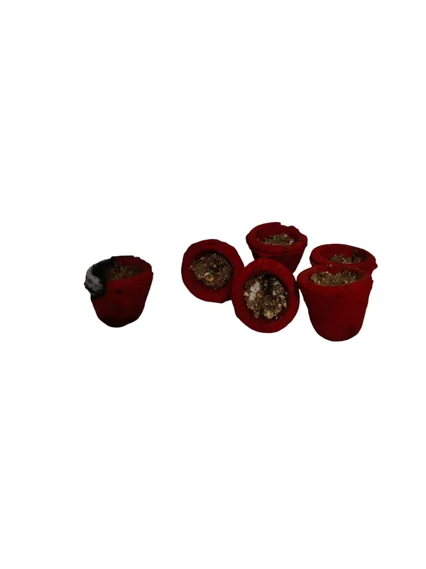 Sambrani_Dhoop_Cups_With_Charcoal