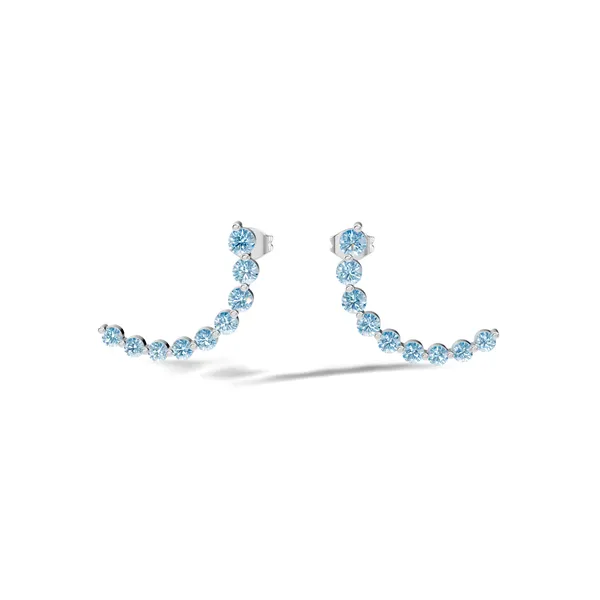 Rose_Blue_Stone_Ear_Climber_Earrings_For_Women