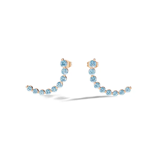 Rose_Blue_Stone_Ear_Climber_Earrings_For_Women