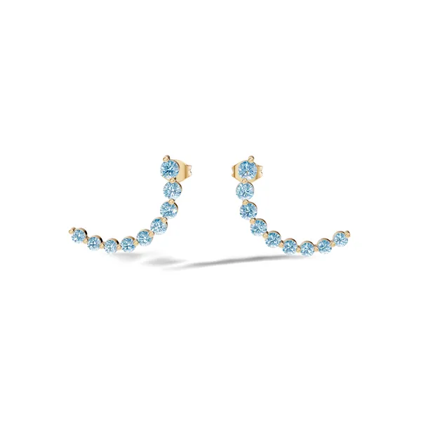Rose_Blue_Stone_Ear_Climber_Earrings_For_Women