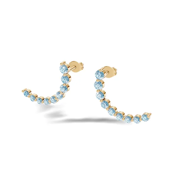Rose_Blue_Stone_Ear_Climber_Earrings_For_Women