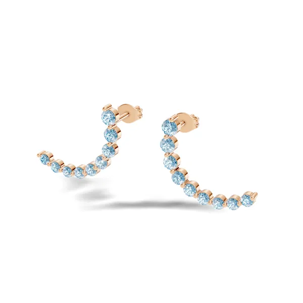 Rose_Blue_Stone_Ear_Climber_Earrings_For_Women
