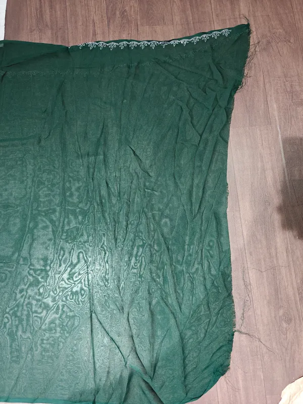Green_Net_Embroidered_Saree_for_Women
