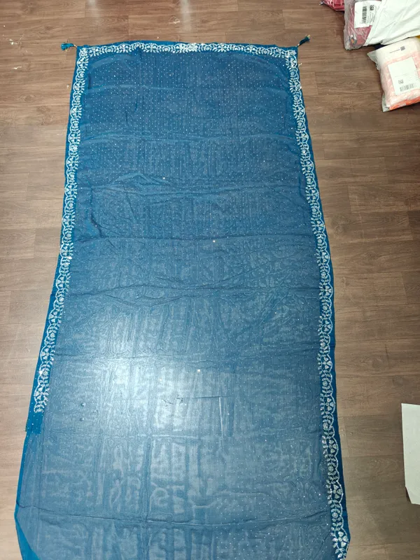 Blue_Embroidered_Sheer_Saree_for_Women