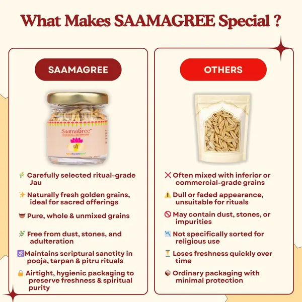 Barley_Grains_For_Havan_And_Pooja