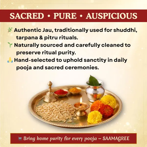Barley_Grains_For_Havan_And_Pooja