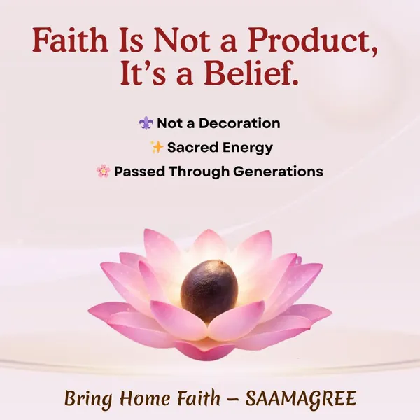 Lotus_Seeds_For_Pooja_And_Rituals