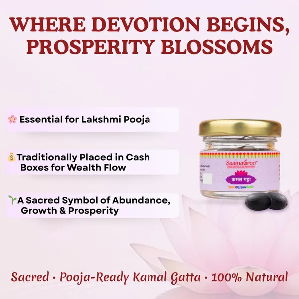 Lotus_Seeds_In_Glass_Jar