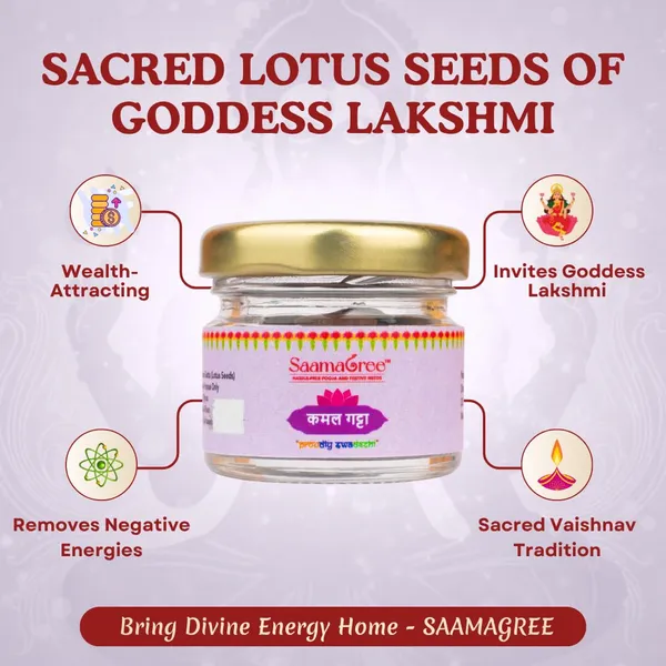 Lotus_Seeds_In_Glass_Jar