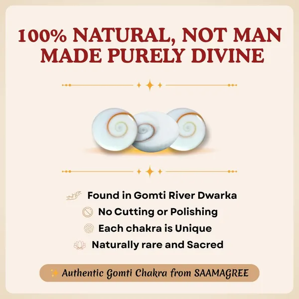 Gomti_Chakra_Sacred_Shells
