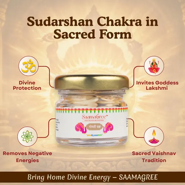 Gomti_Chakra_Sacred_Shells