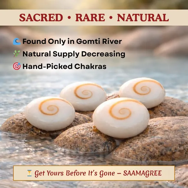 Gomti_Chakra_Sacred_Shells