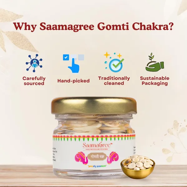 Gomti_Chakra_Sacred_Shells