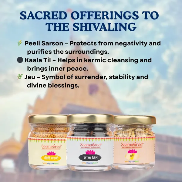 Shiv_Aaradhana_Samagri_Kit