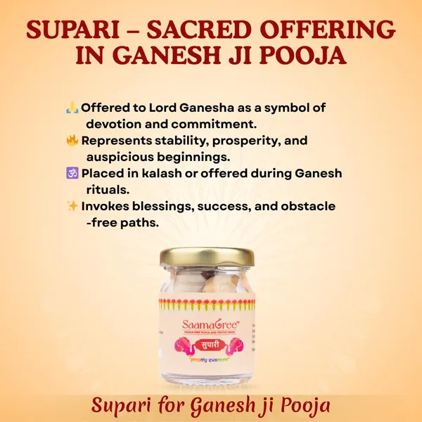 Ganesh_Aradhana_Samagri_Kit