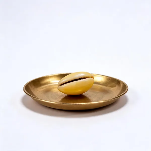Kauri_Shells_For_Pooja_And_Rituals