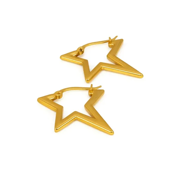 Gold_Stainless_Steel_Earrings_For_Women