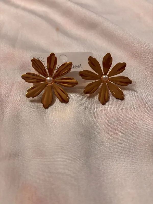 Brown_And_Steel_Stainless_Steel_Earrings_For_Women