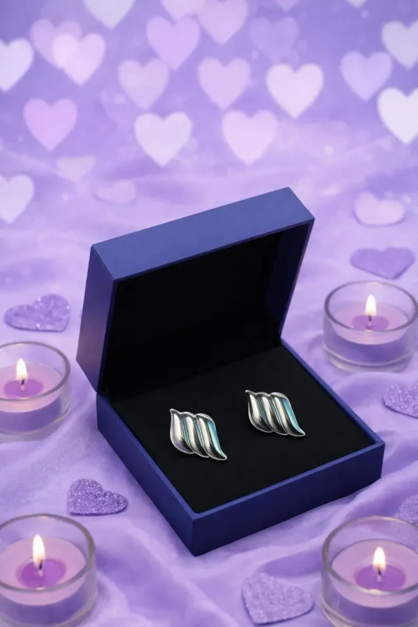 Silver_Stainless_Steel_Earrings_For_Women
