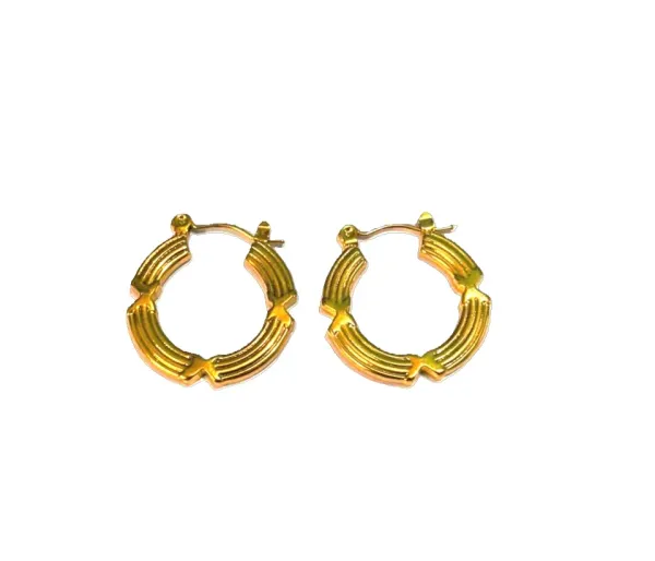 Gold_Stainless_Steel_Earrings_For_Women