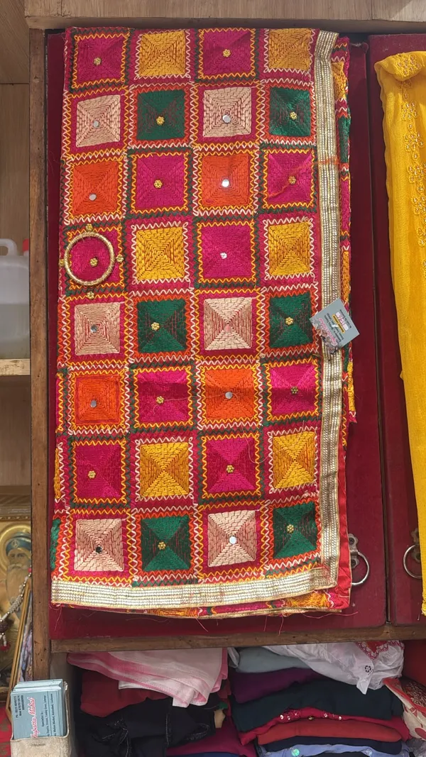 Multicolour_Embroidered_Saree_for_Women