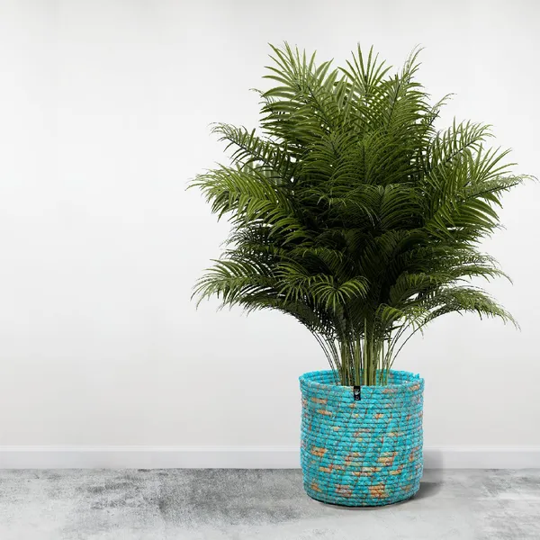 Cobalt_Canvas_Plant_Holder