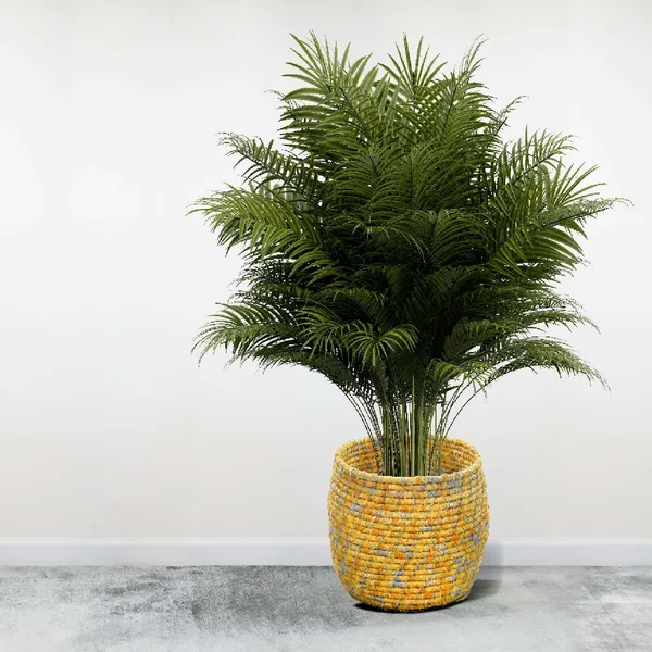 Golden_Harvest_Plant_Holder