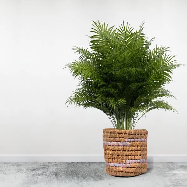Eco_Chic_Designer_Plant_Holder