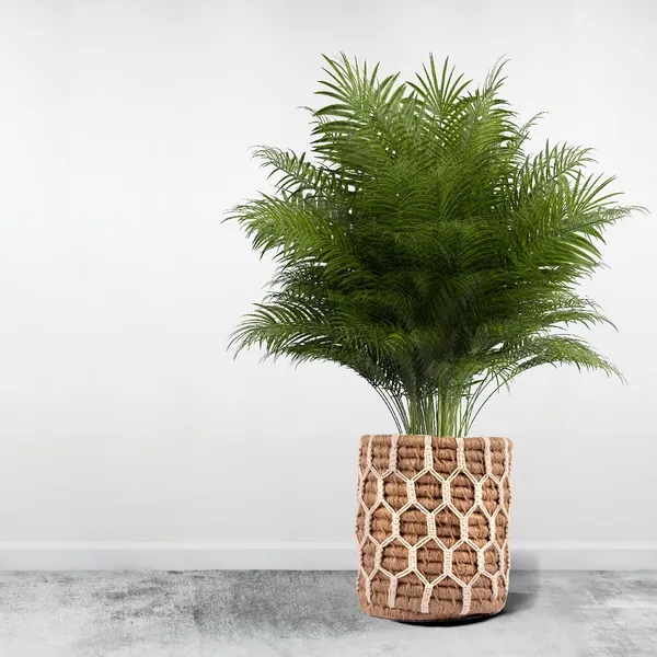 Nature_Inspired_Macrame_Plant_Holder