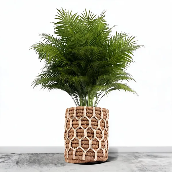 Jute_Bohemian_Beige_Macrame_Plant_Holder