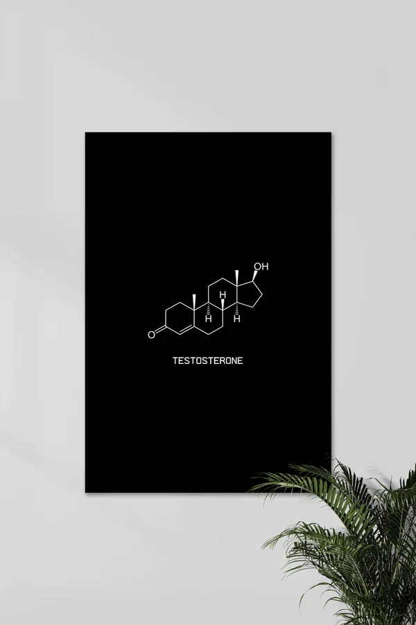 Testosterone_Gym_Motivational_Poster