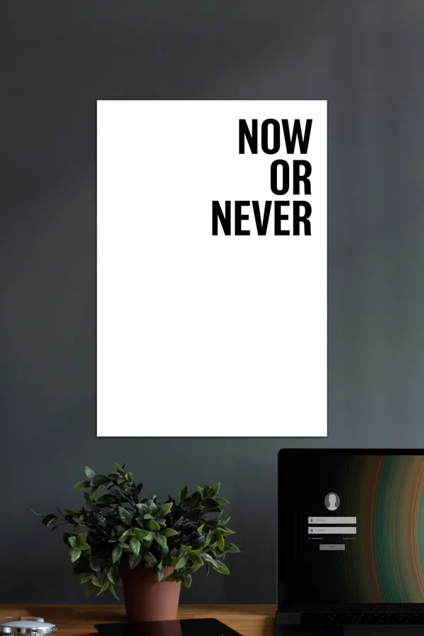 Now_Or_Never_Motivational_Quotes_Poster
